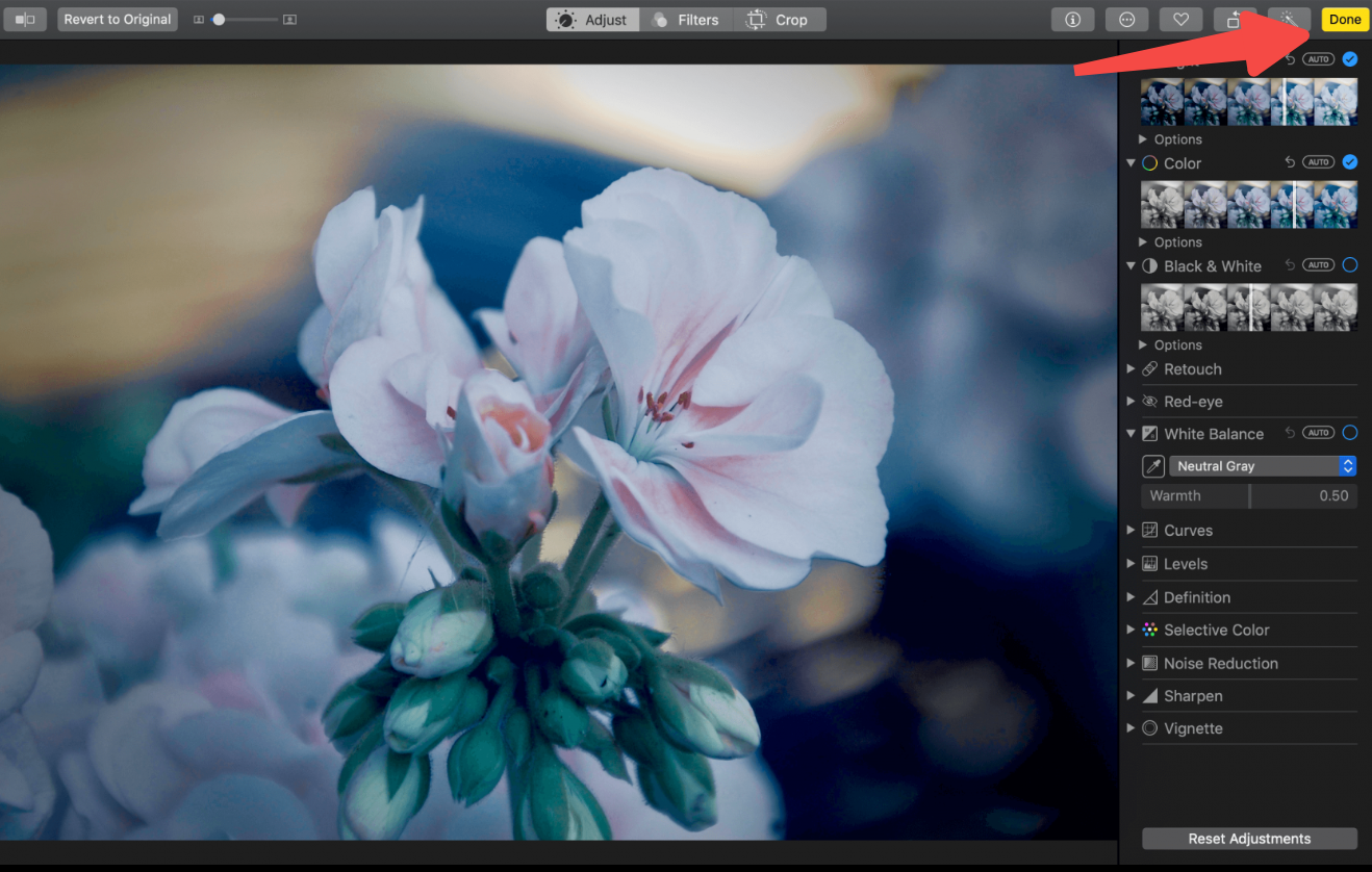 Exportieren des Bildes aus dem Apple Photo Editor