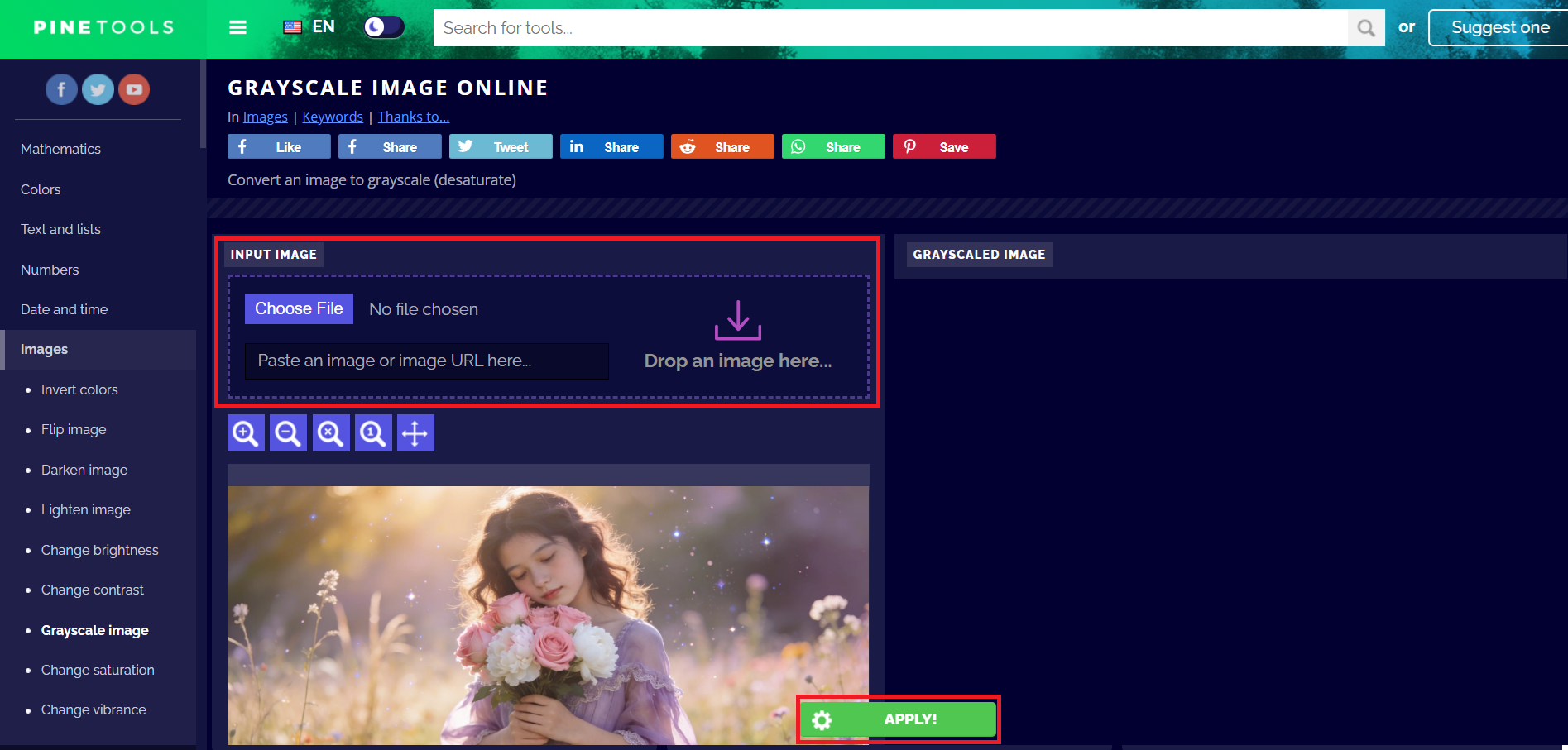 Carregue sua imagem e aplique escala de cinza