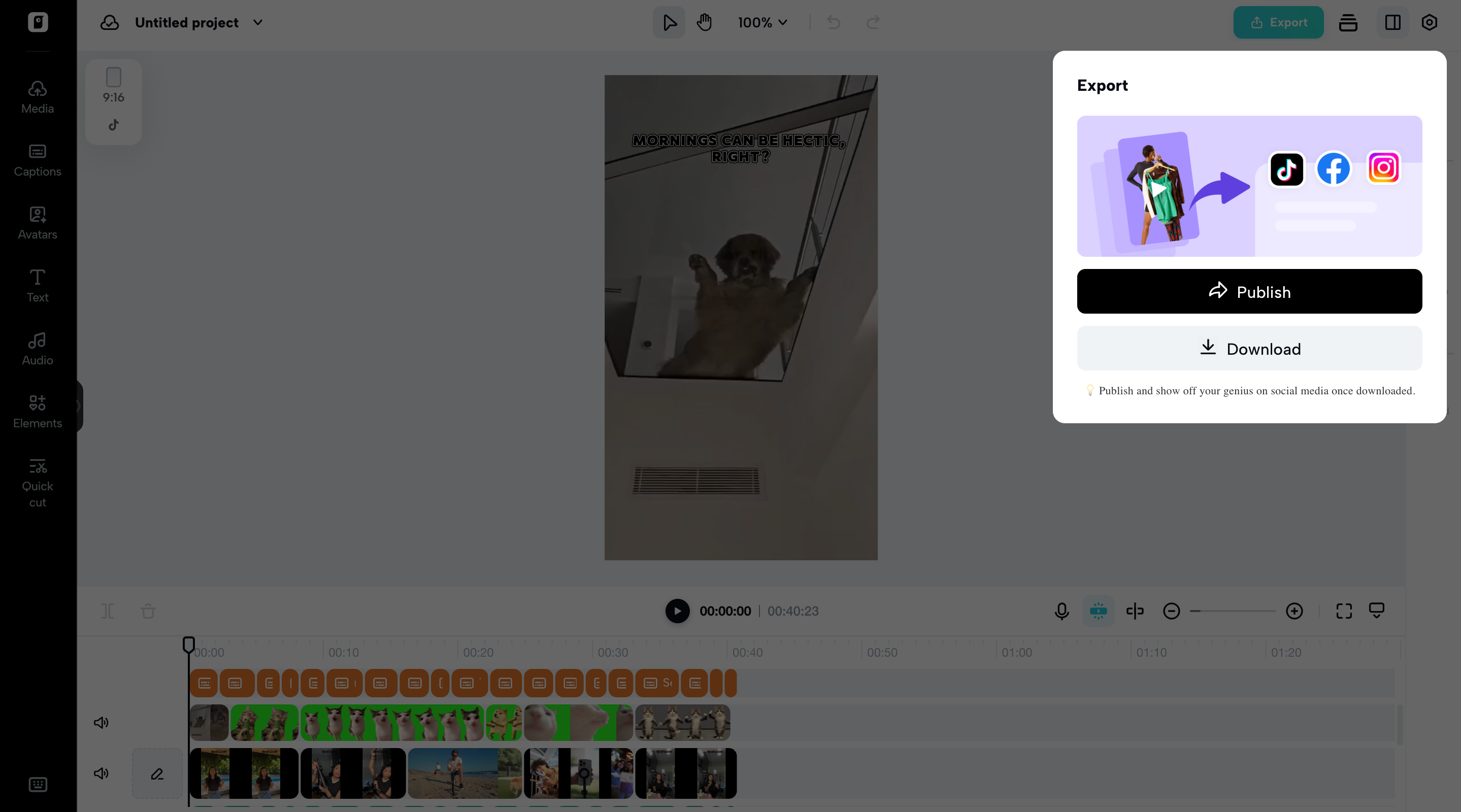Export your video