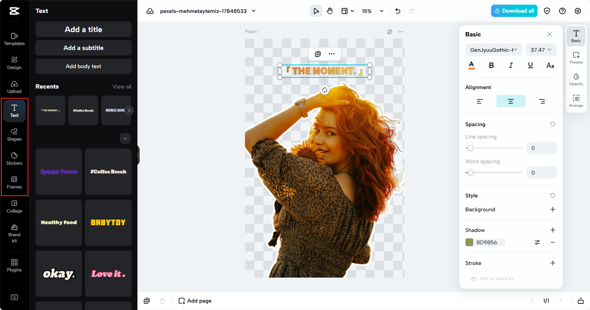 Passen Sie Ihr Bild an, nachdem Sie den Hintergrund entfernt haben