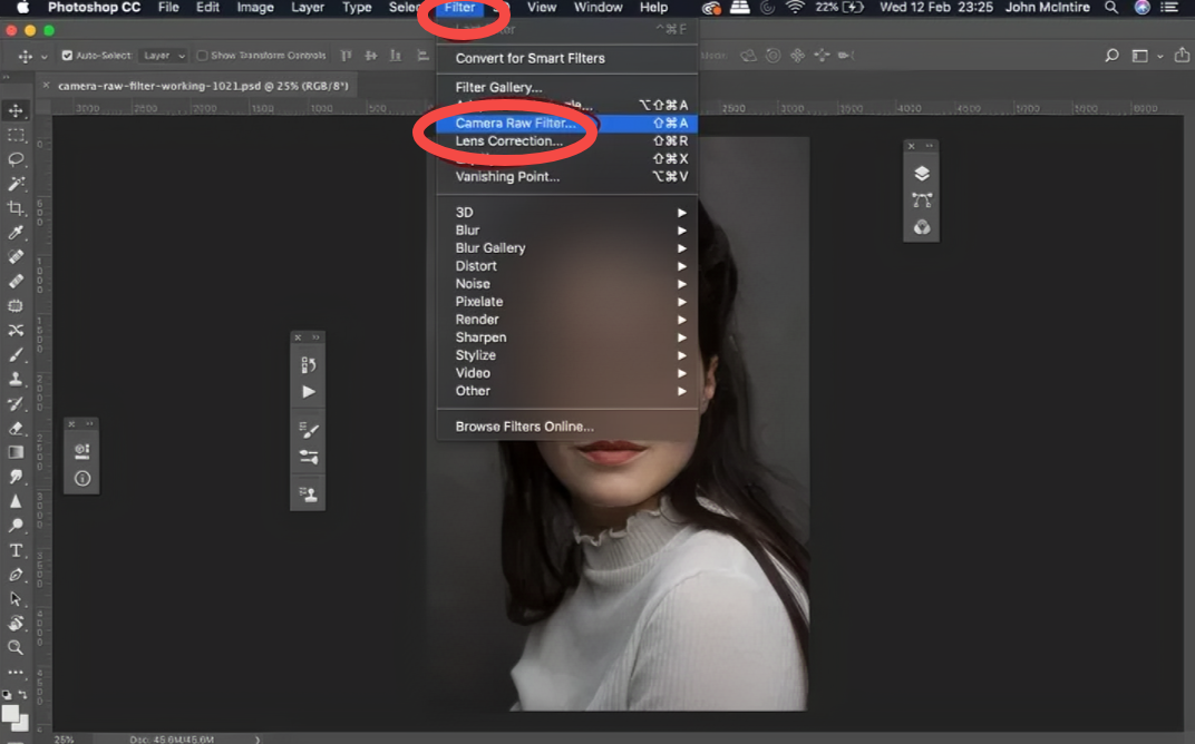 Camera Raw filter