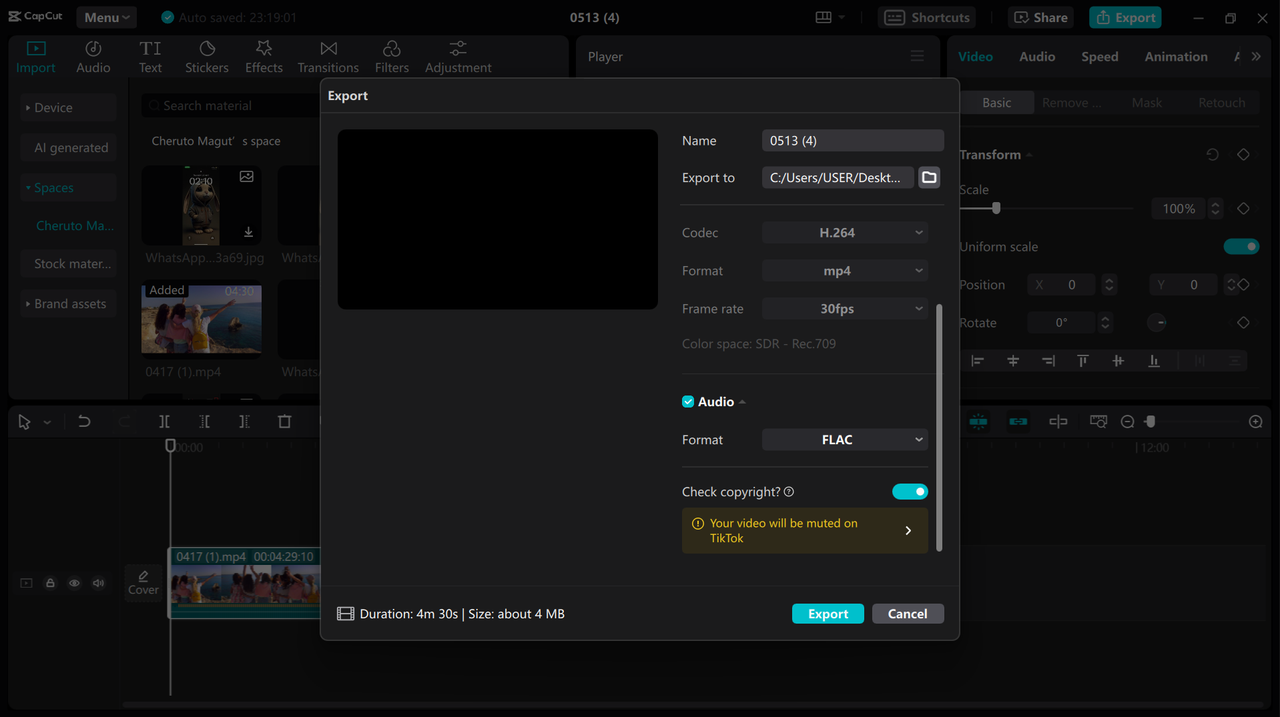 Exporting video