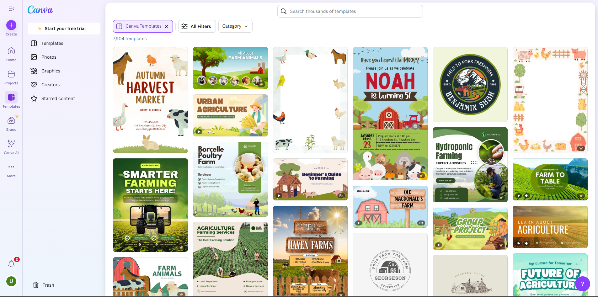 Interface of Canva - a user-friendly way to make animal farm posters