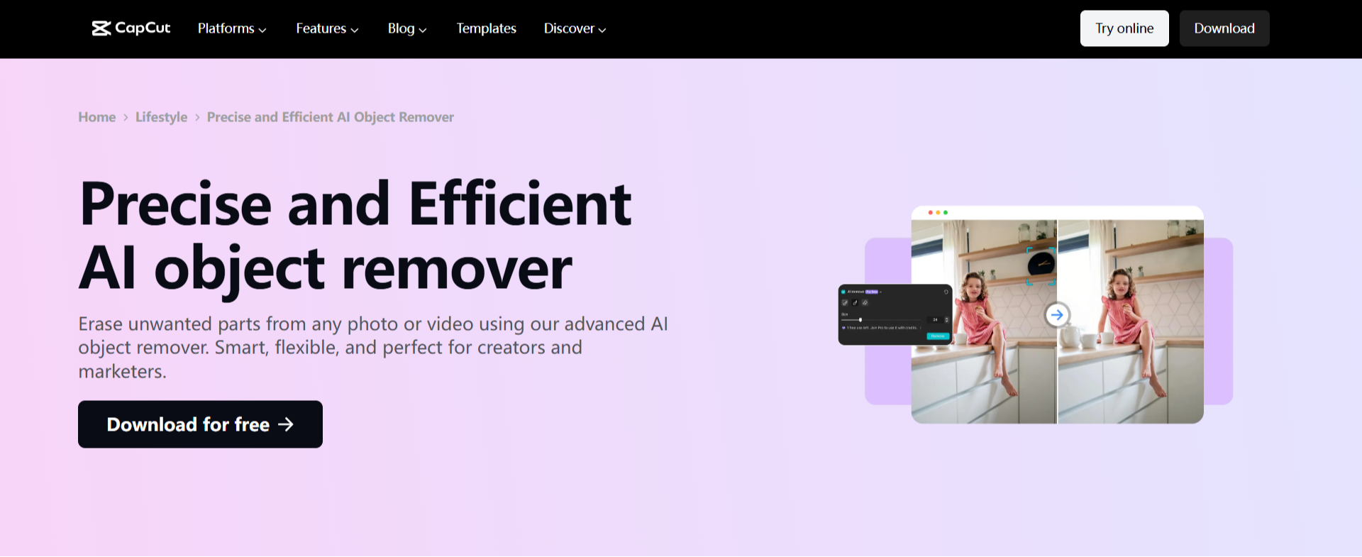 Use AI object remover