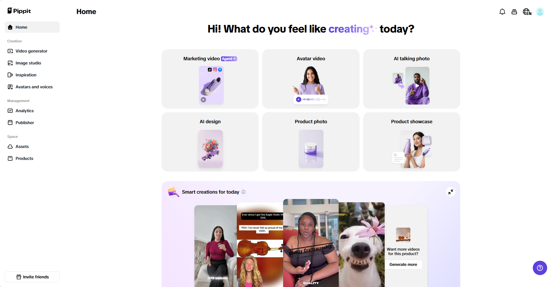 Pippit interface