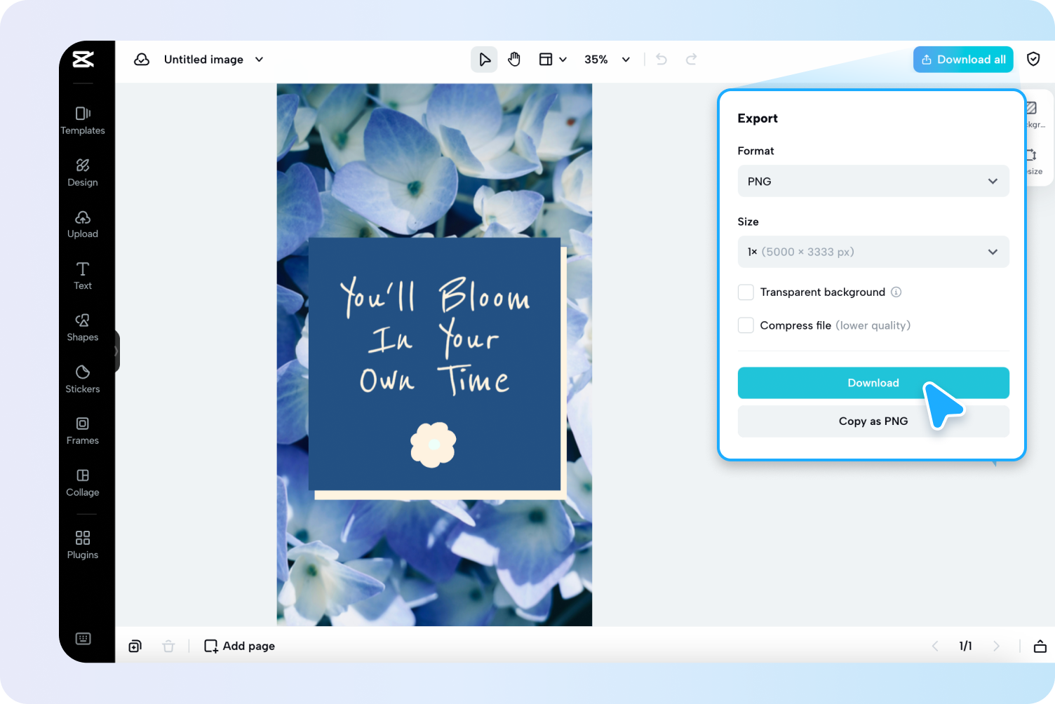 Export & share your image