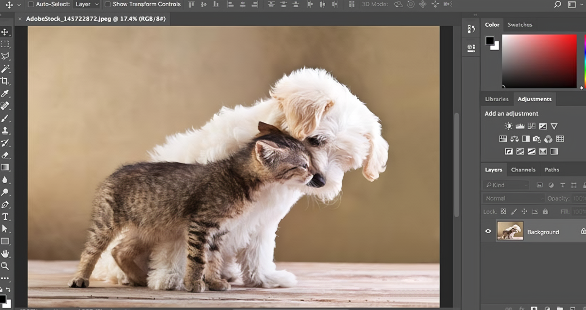 Photoshop interface