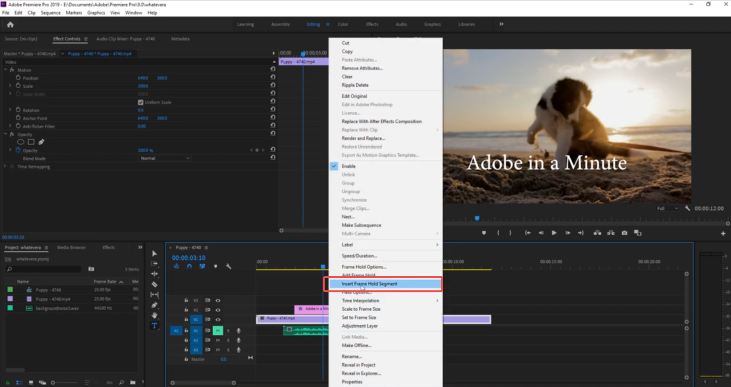 Apply the "Insert Frame Hold Segment" option in Premiere Pro