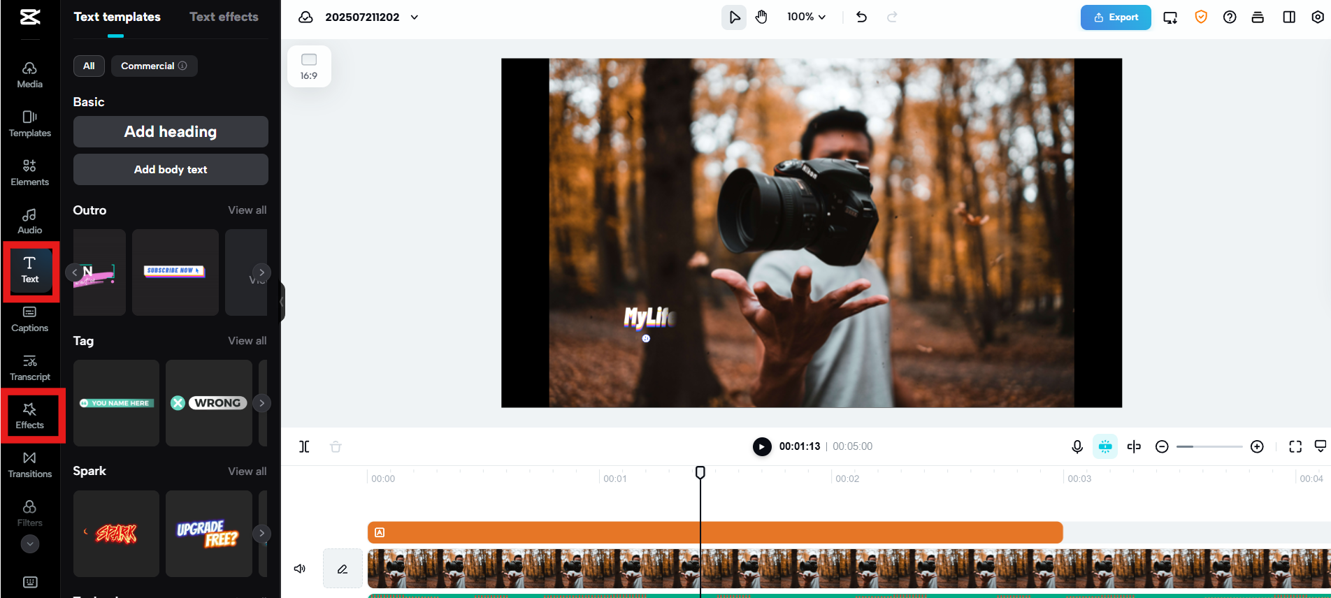 Customize with text and effects