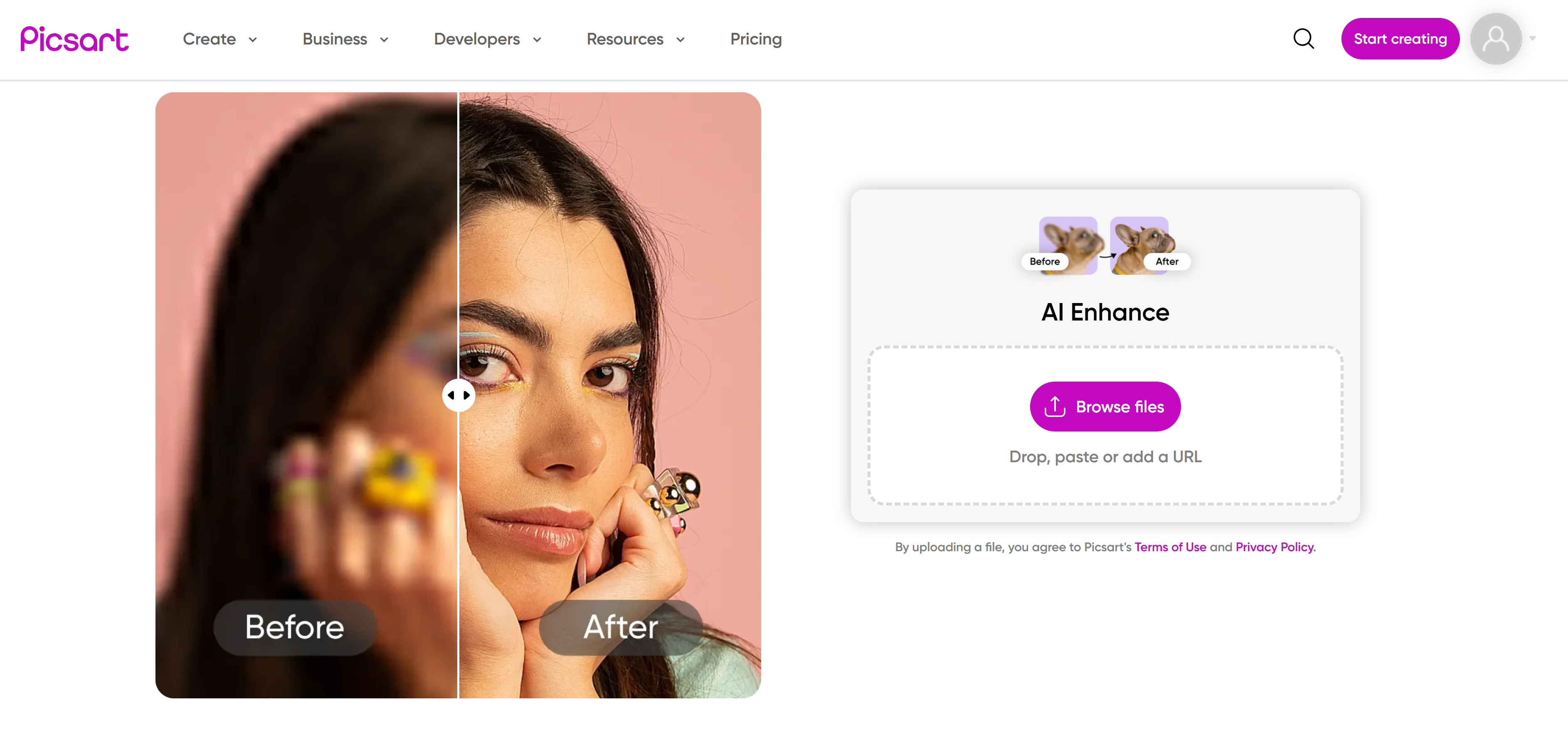 Özgeçmişlerdeki fotoğraflar