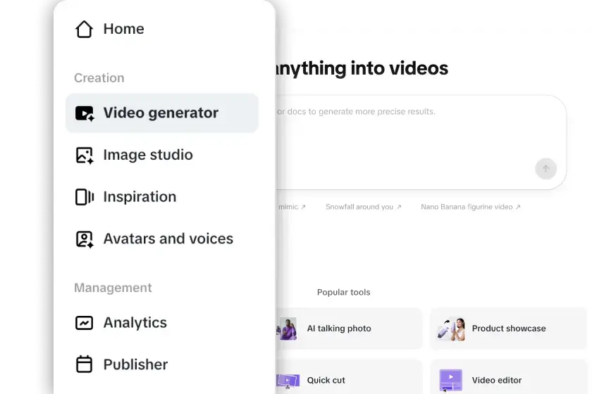 Open the Video Generator