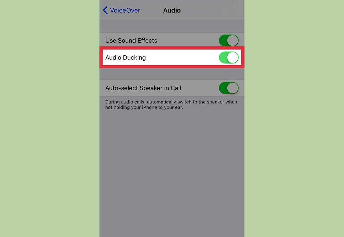 Toggle the audio ducking on or off