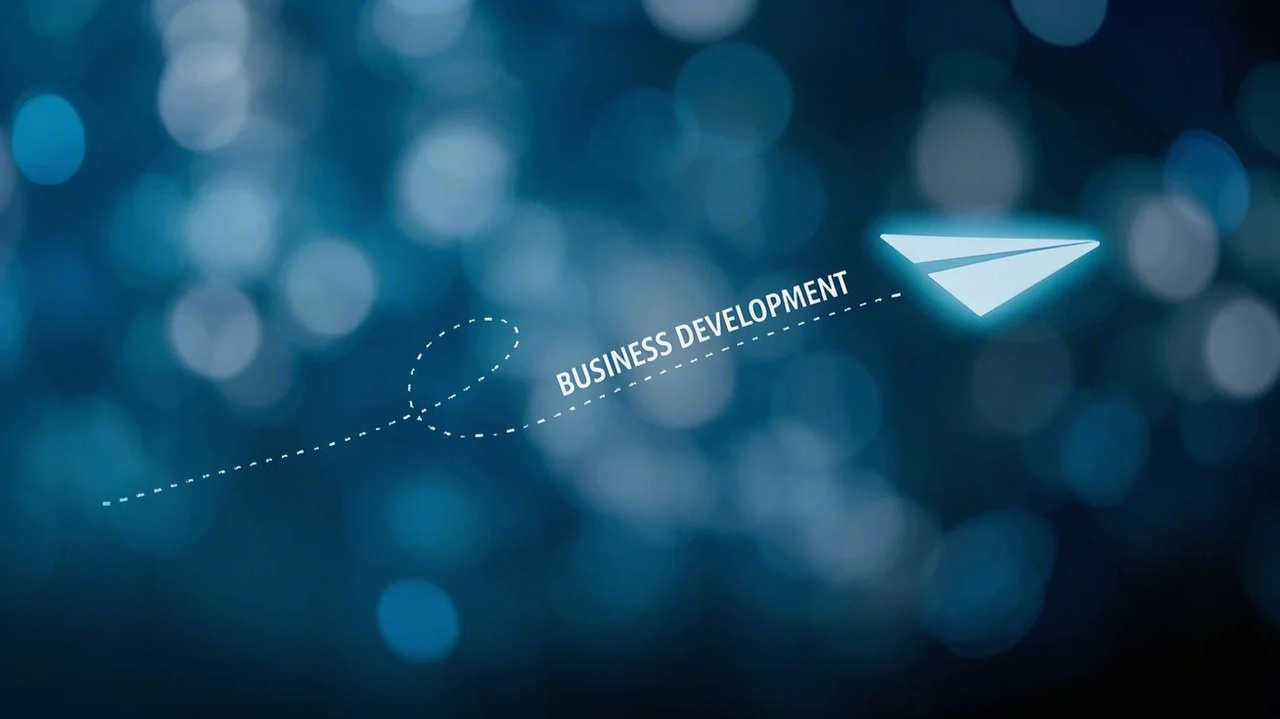 Key components of a business development