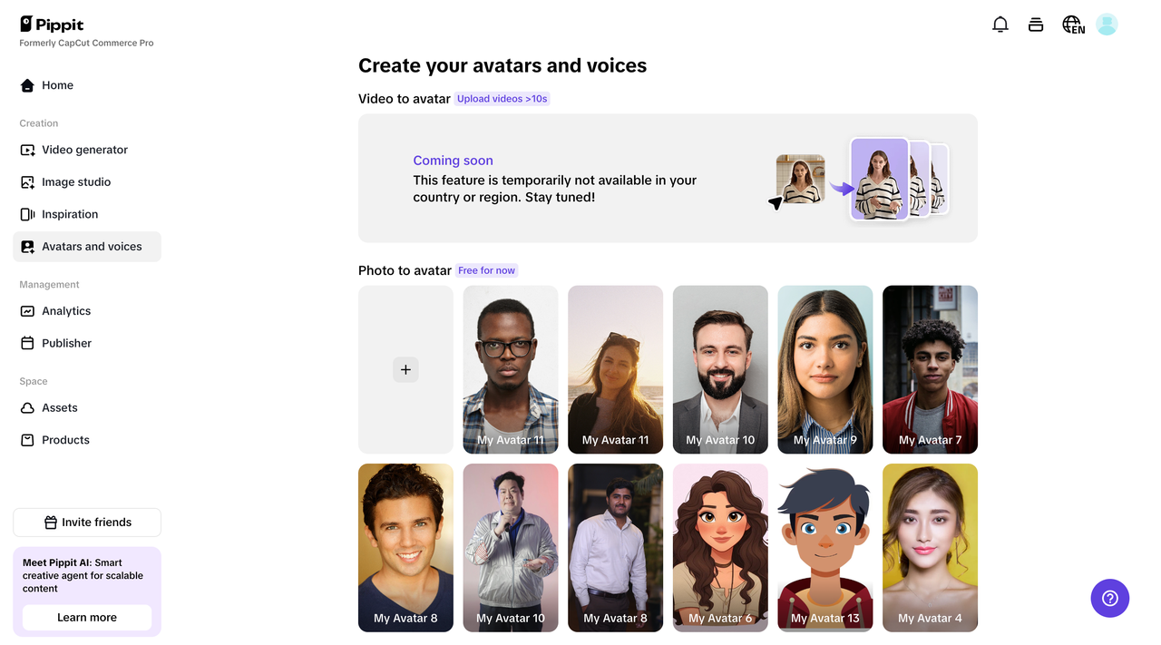 Avatars and voiceovers