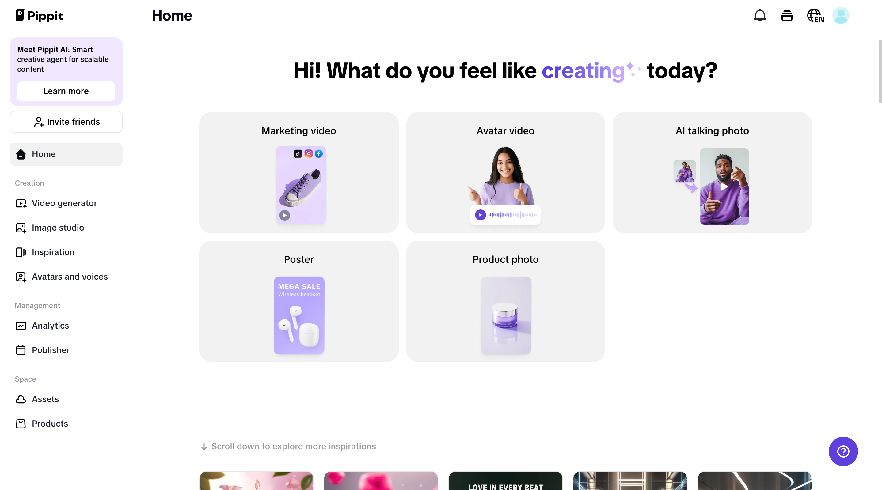 Pippit interface