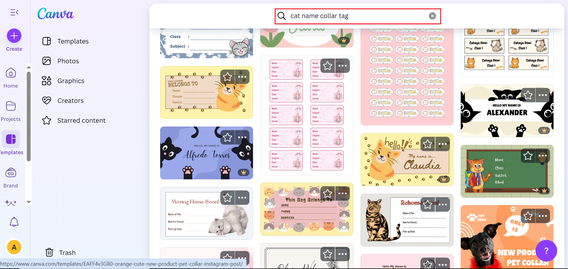 Choose Your Template