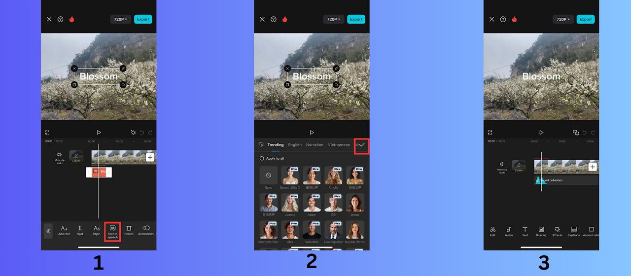 Applica il testo al parlato
