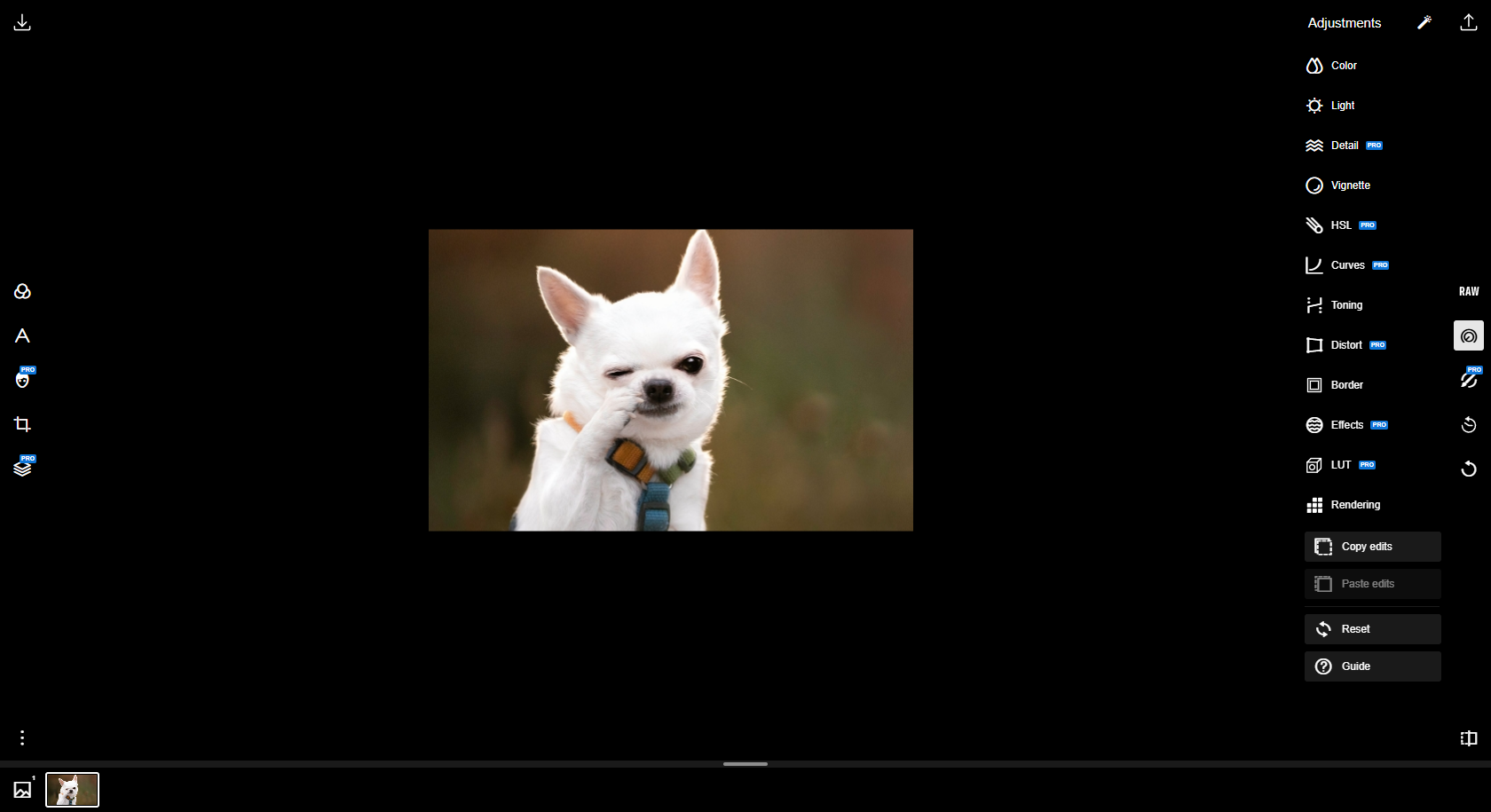 Polarr Photo Editor interface