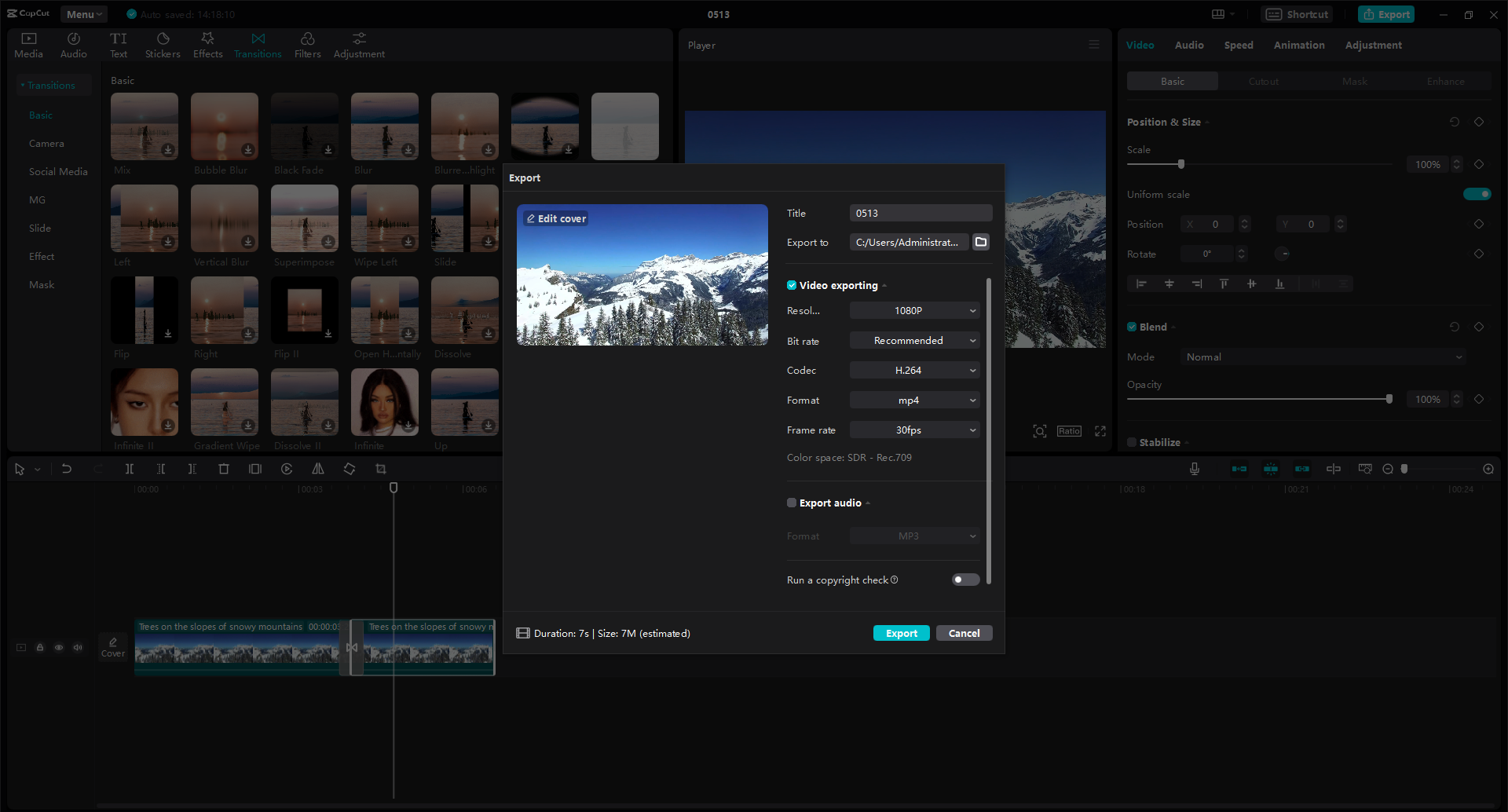 export video