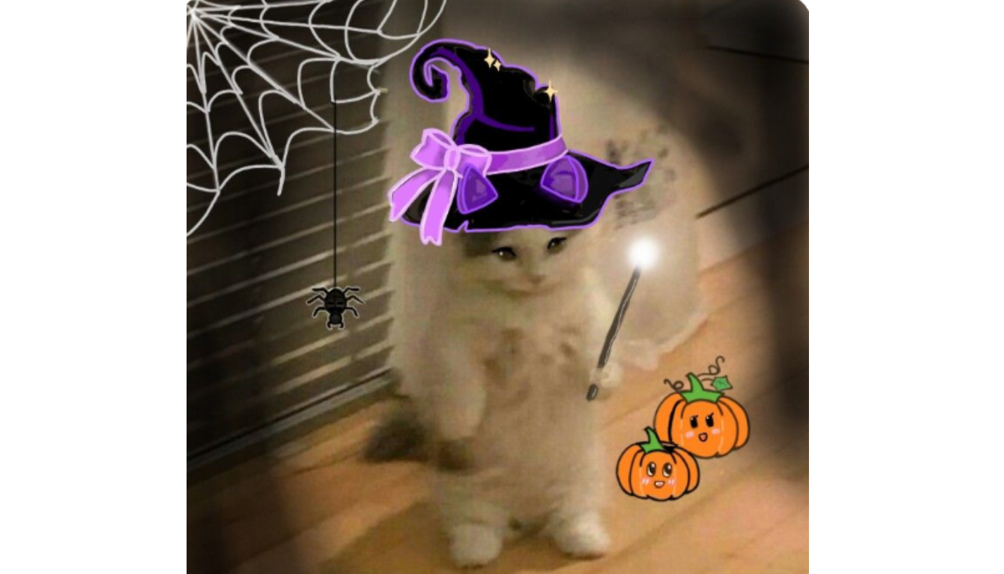 Cat wearing witch hat near a cauldron