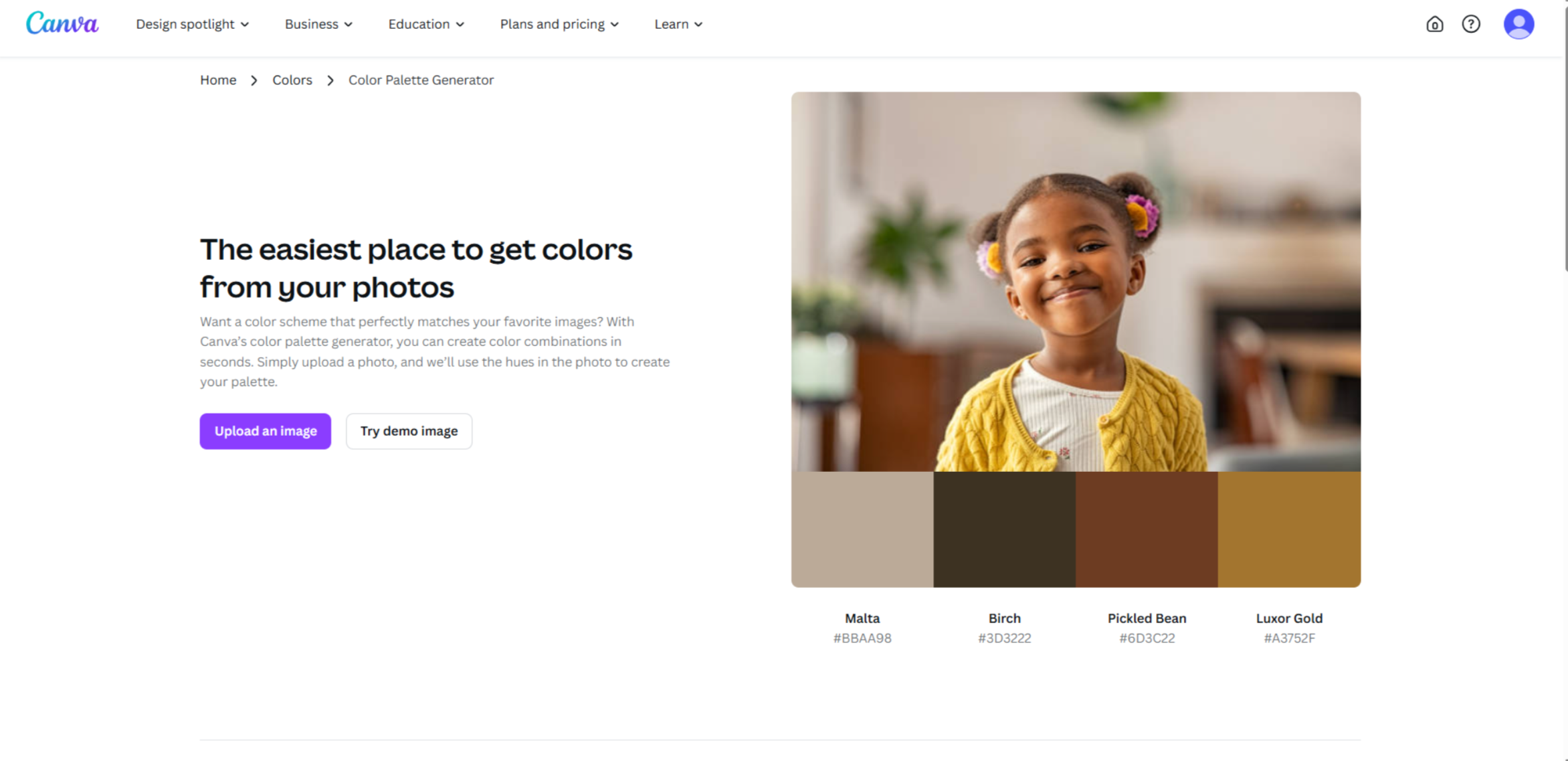 Schnittstelle von Canva - ein effizienter Markenfarbgenerator