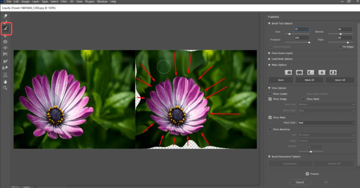Liquify filter