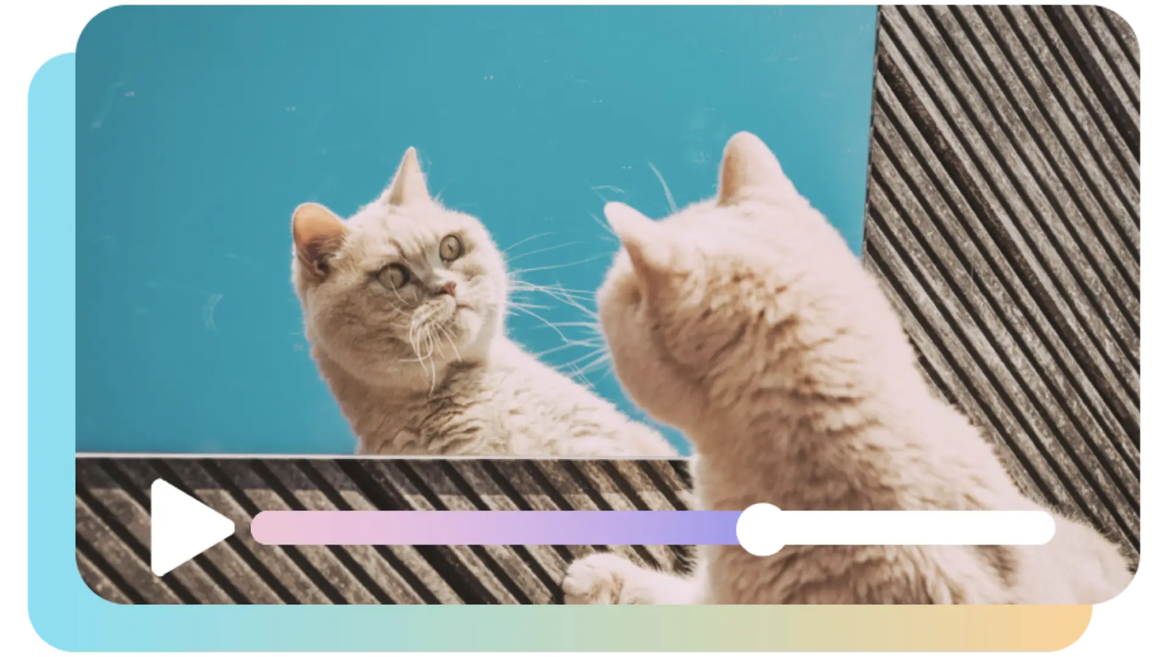 Edição de imagens em poucos cliques