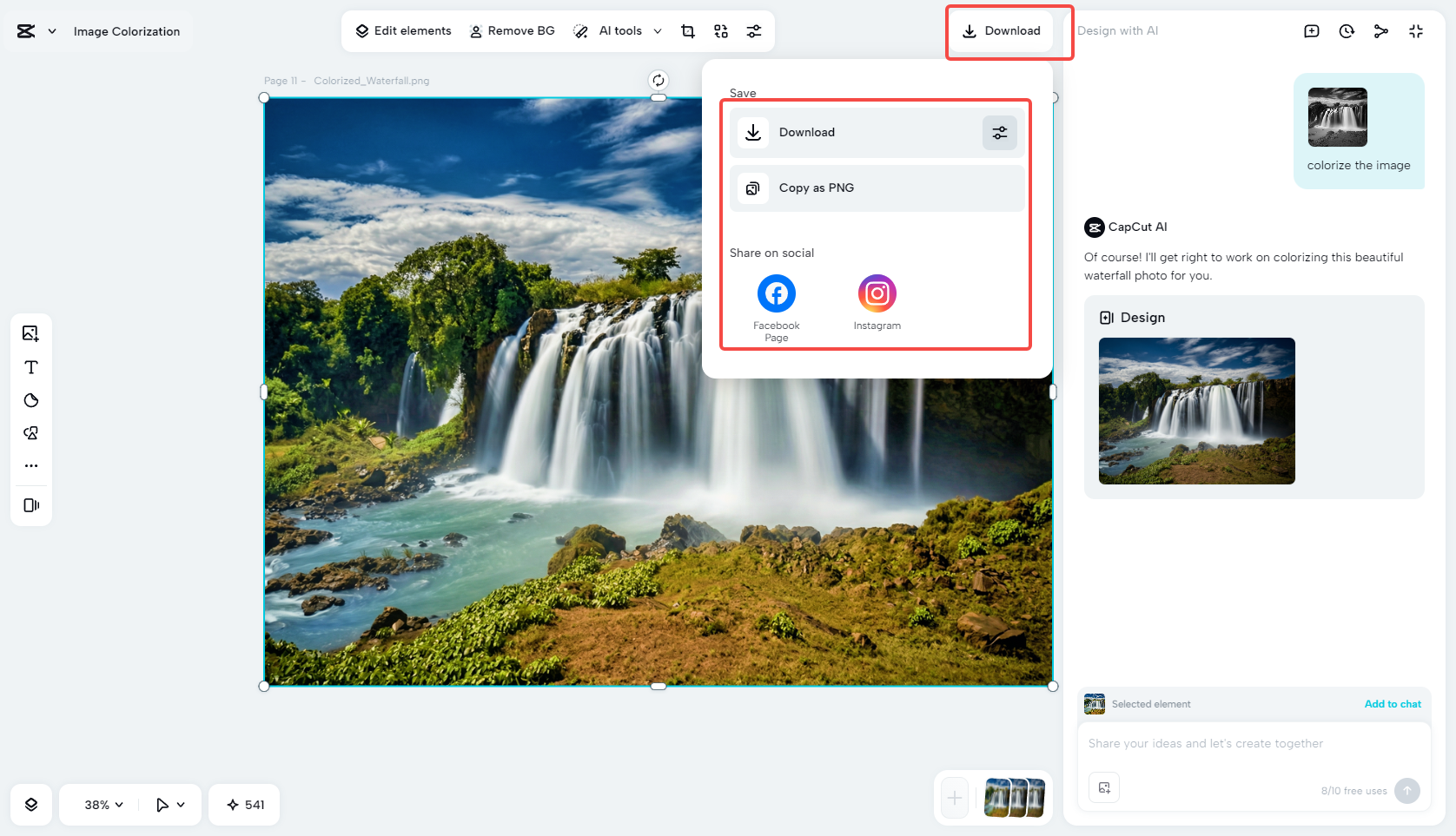 Download your final colorized image