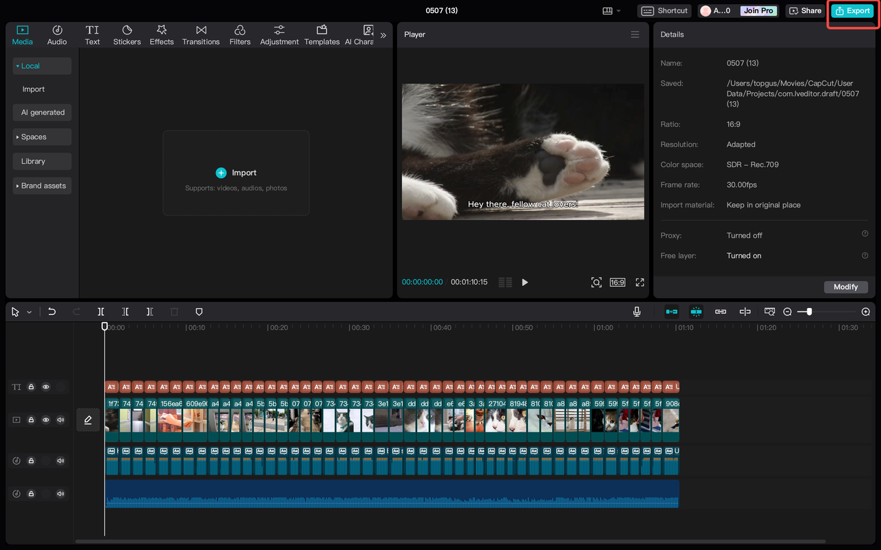 Export your video