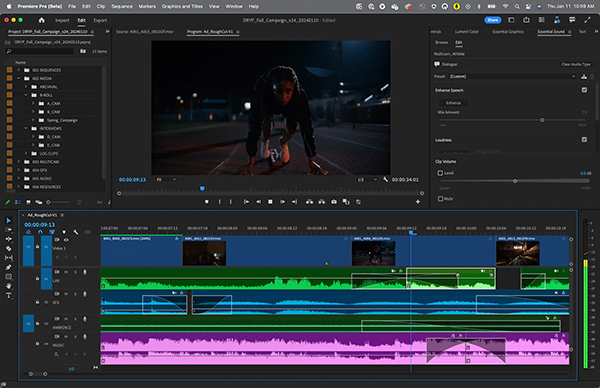 Interface of Adobe Premiere Pro — professional video sound editor