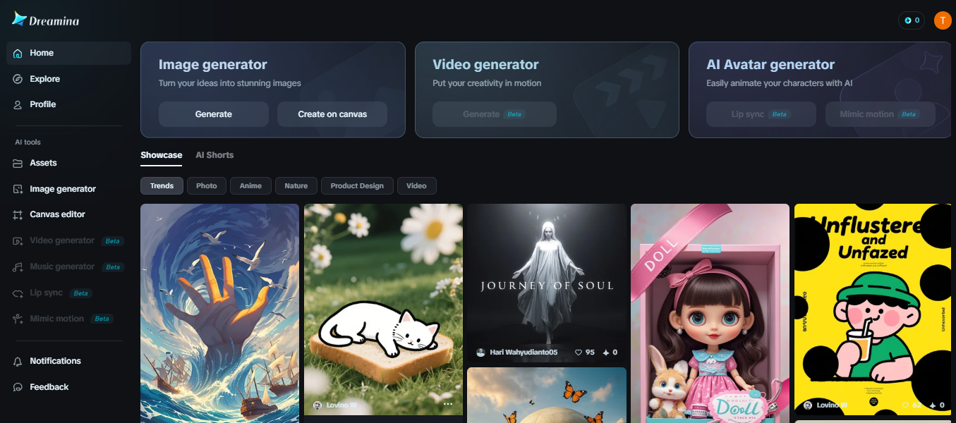 Dreamina's homepage