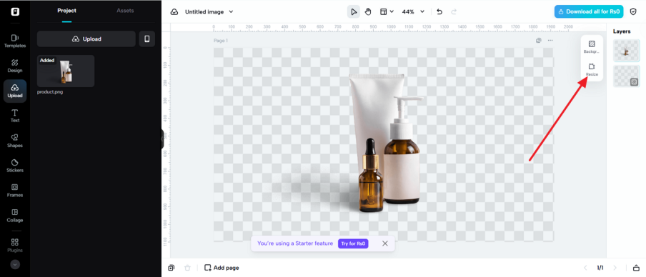 choose resize option in pippit