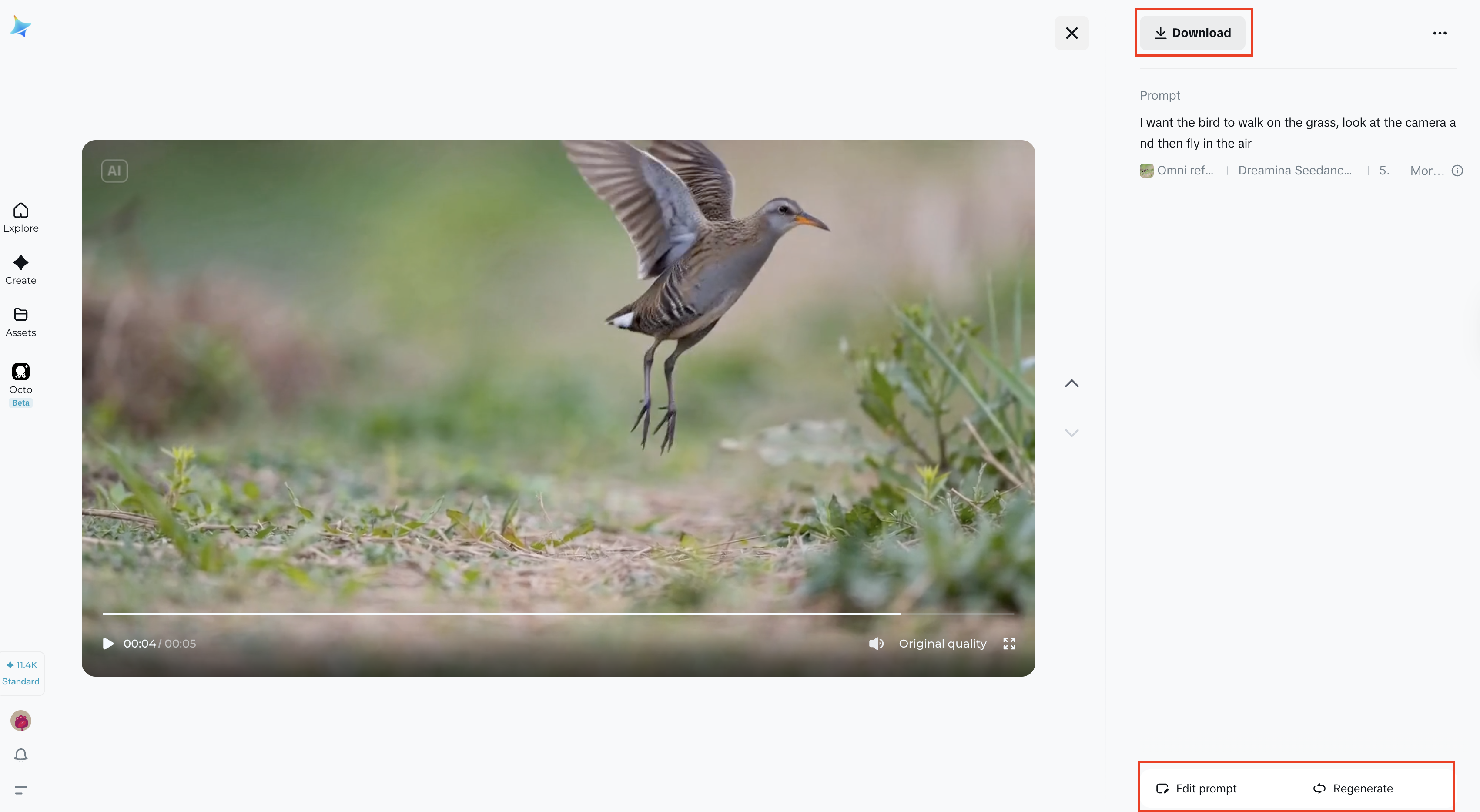 Preview, enhance, and download your video