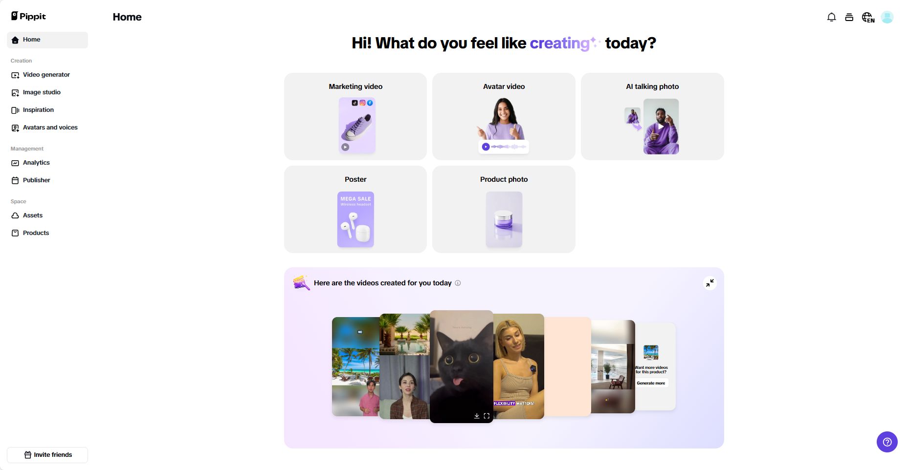 Pippit interface