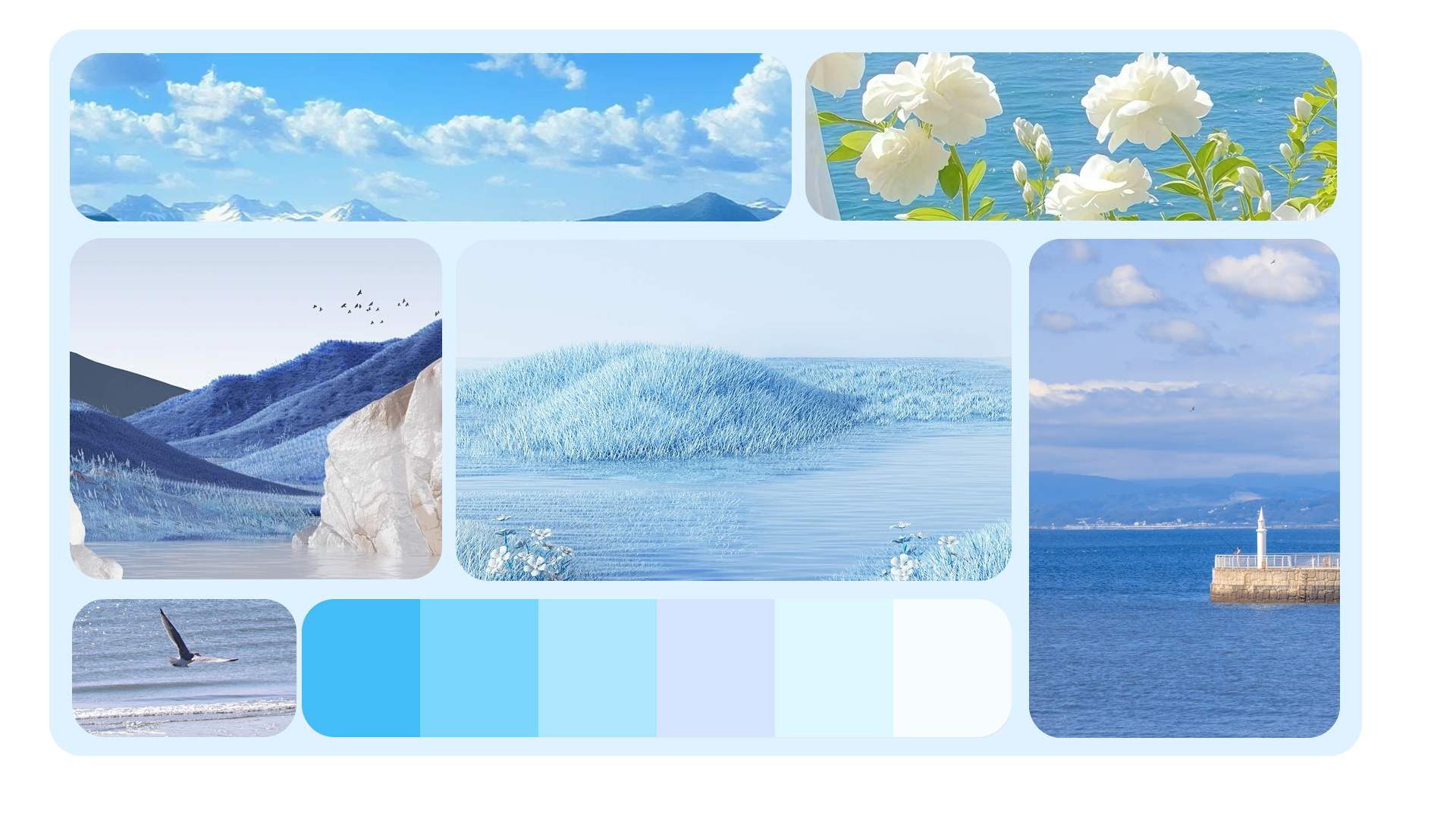Create a Mood Board