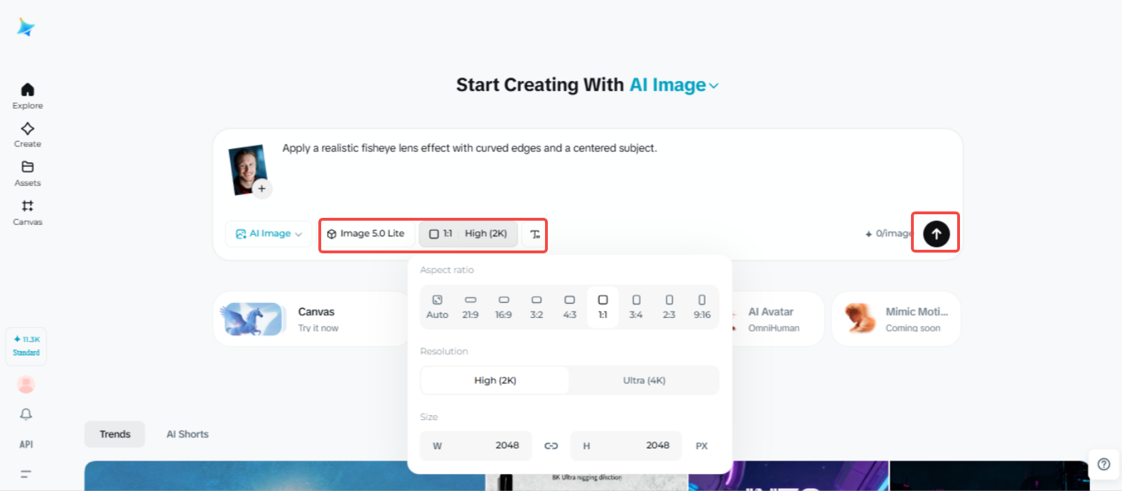 Applying the fisheye effect to the photo in Dreamina