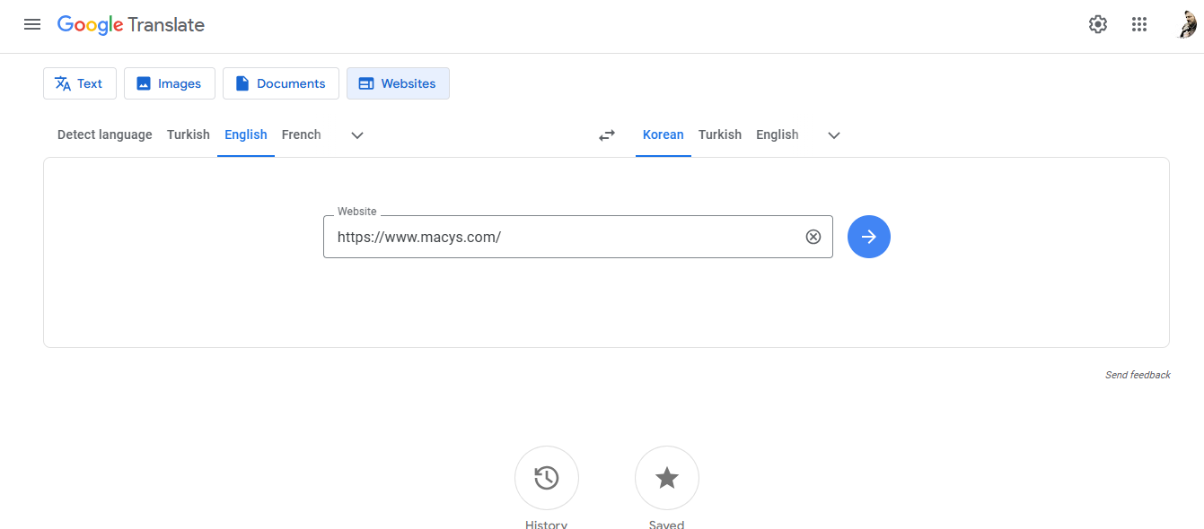 Input the site link to Google Translate