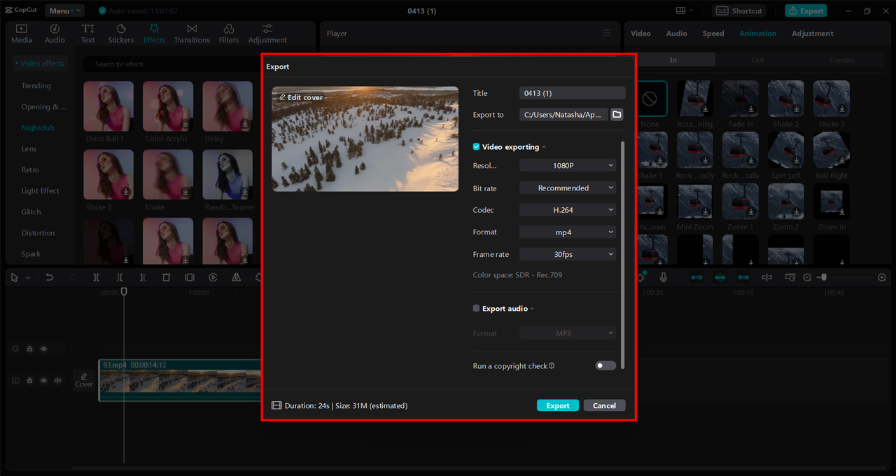 advanced export settings