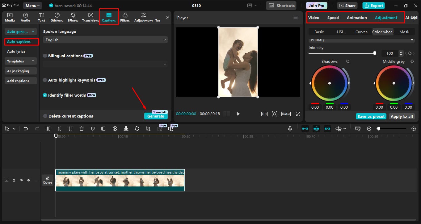 Hinzufügen von Untertiteln zum TikTok-Video
