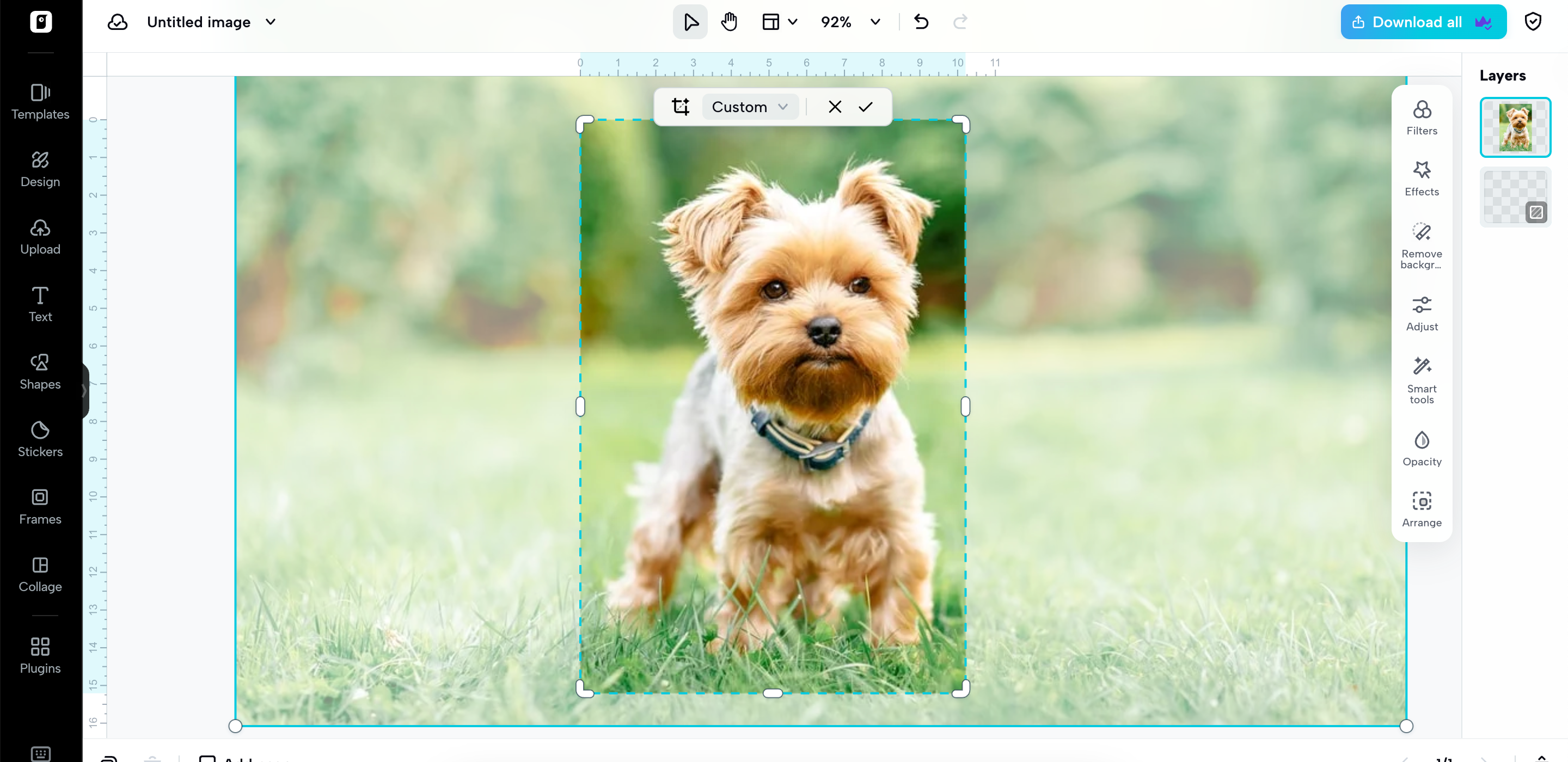 Cambia el tamaño de tu foto.