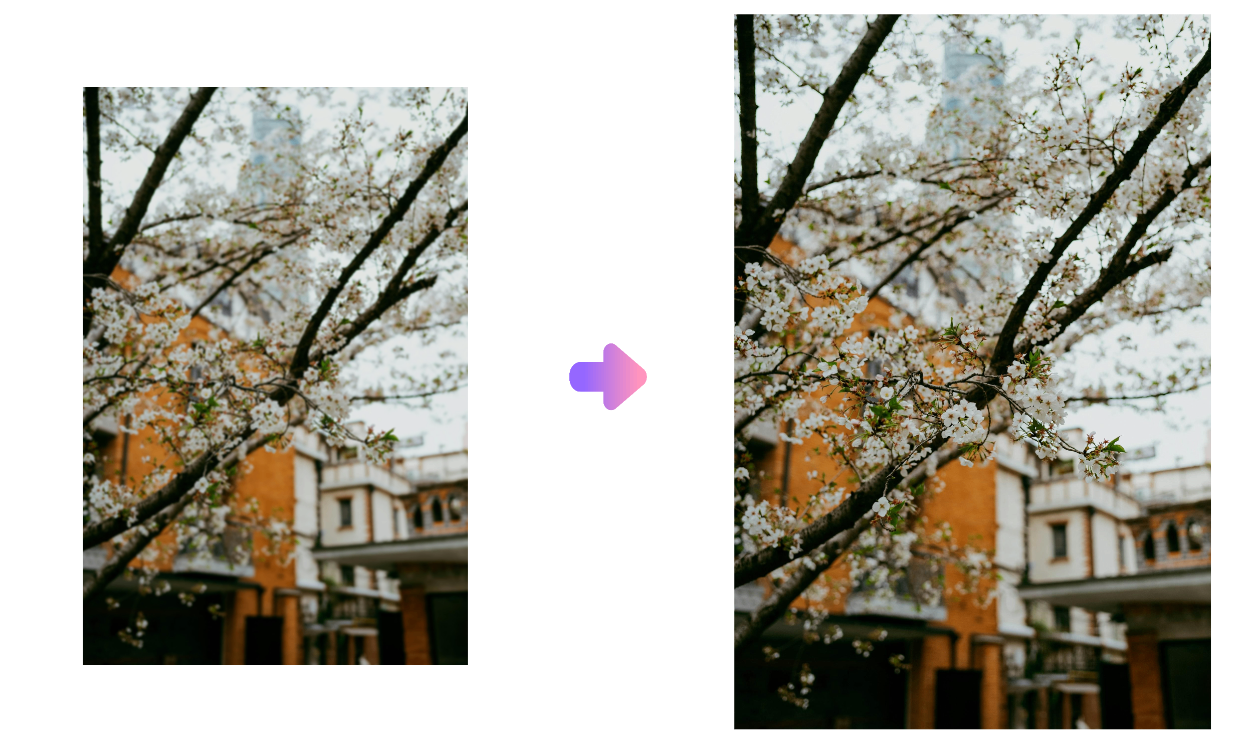 창의적인 업스케일러