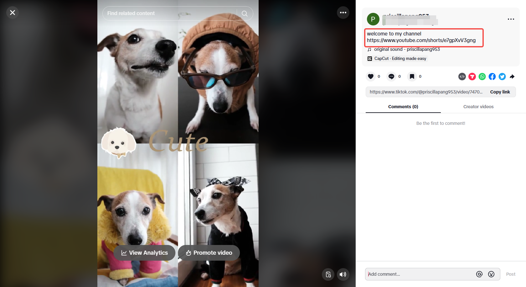Promova o canal do YouTube no TikTok