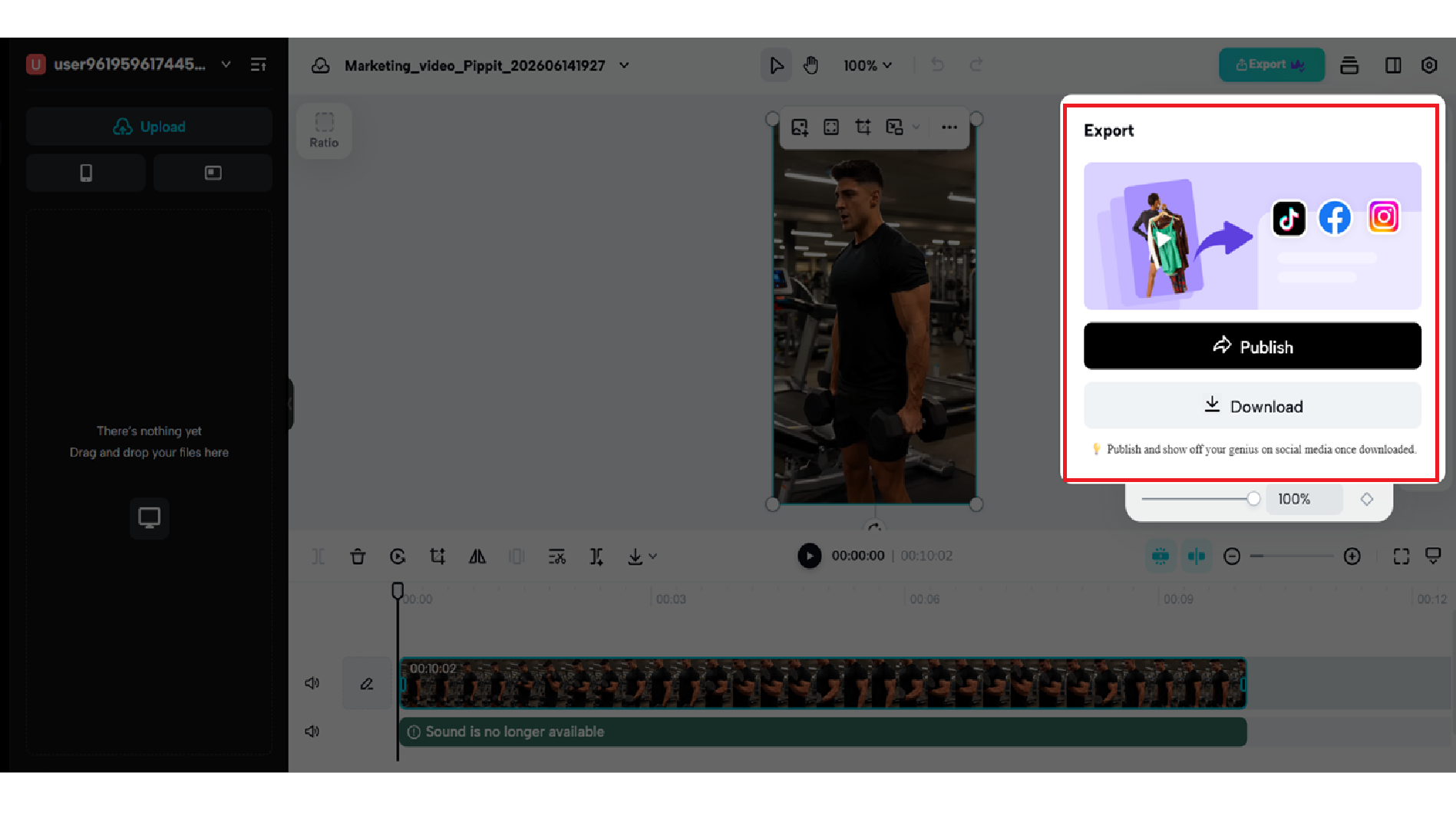 Preview and download