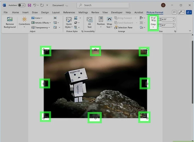 Showing how to crop an image in Word using Margin crop