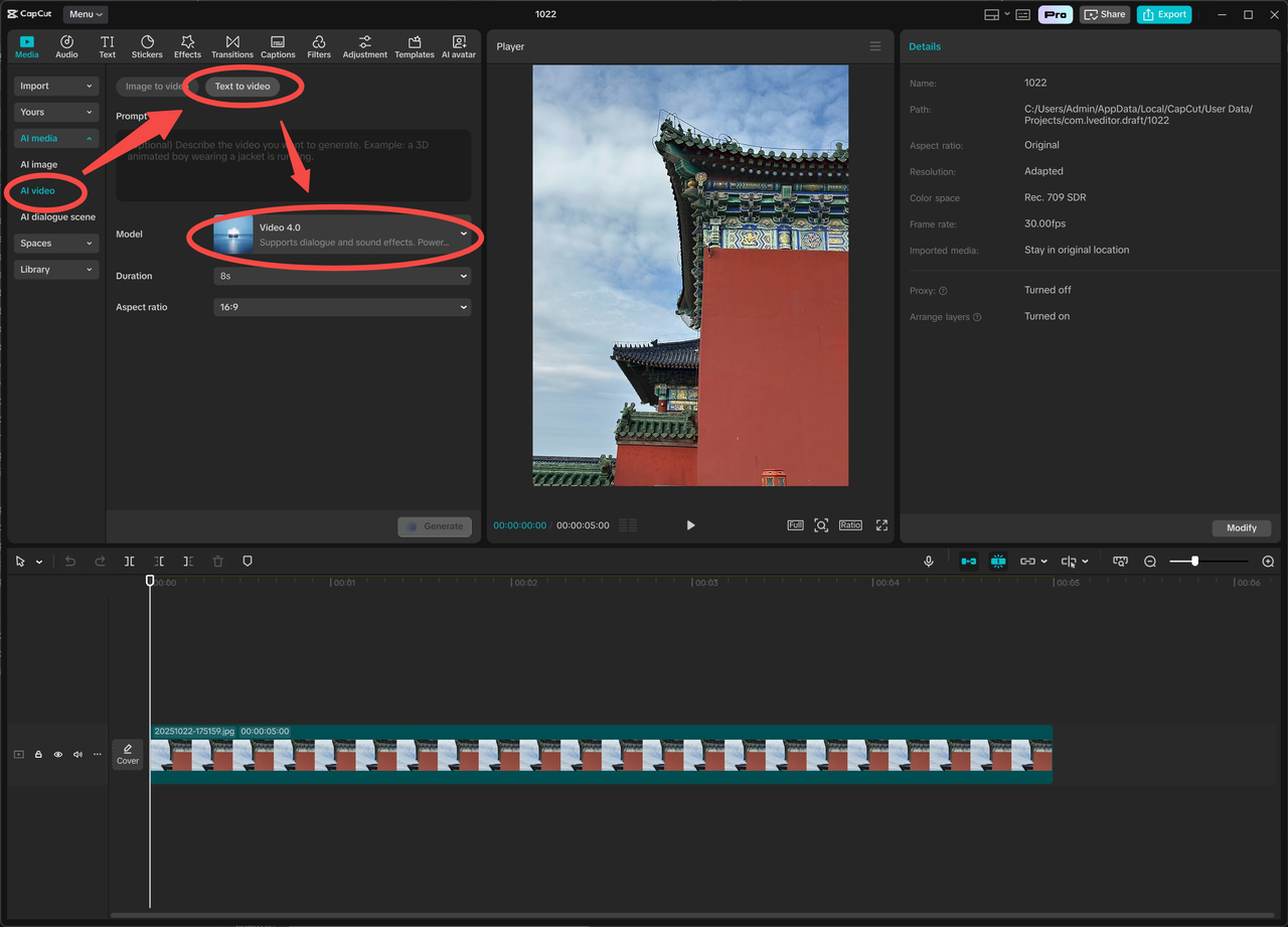 Access Video 3.1