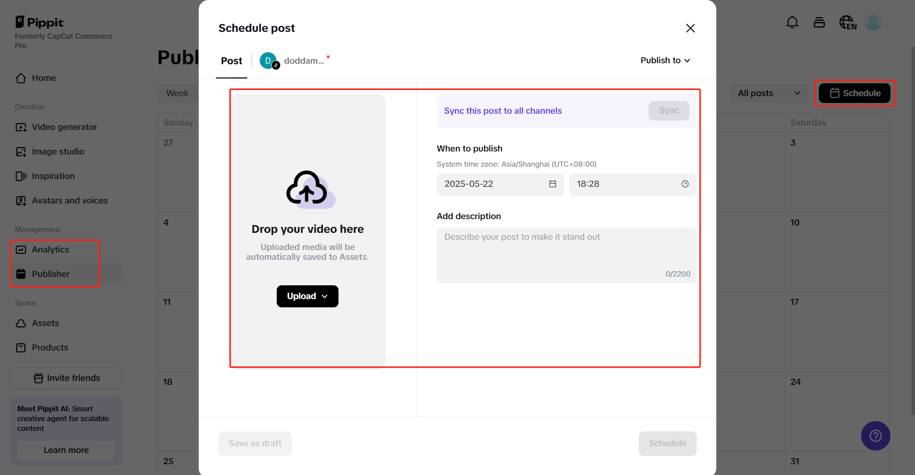 Pippit auto publisher