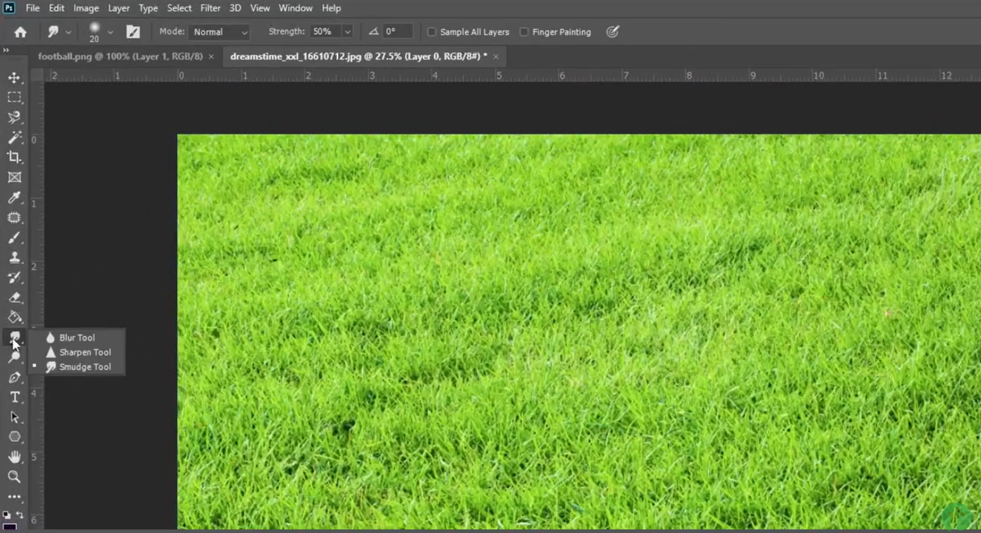 Select the Smudge Tool and Choose a Brush