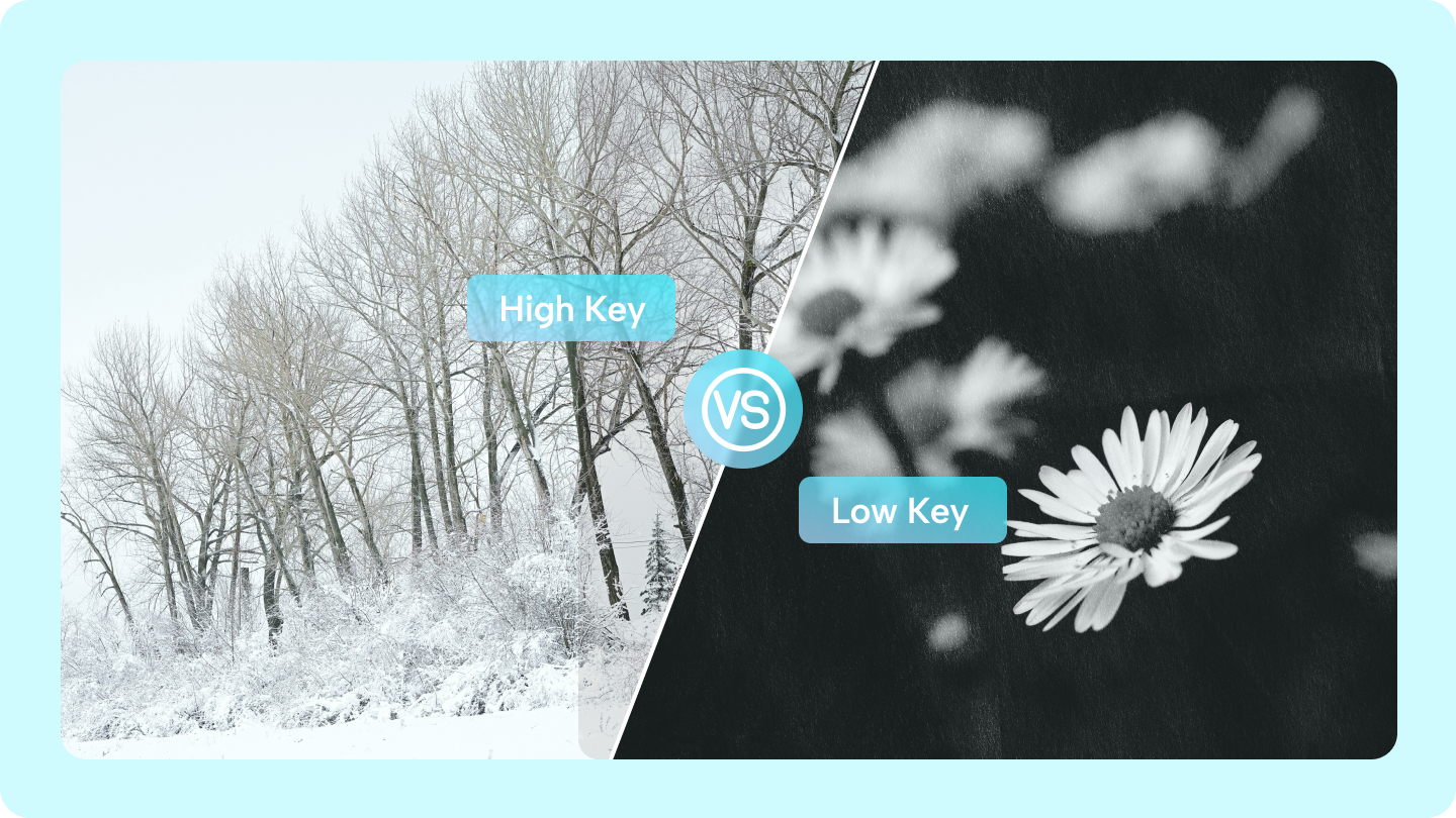 high key vs low key