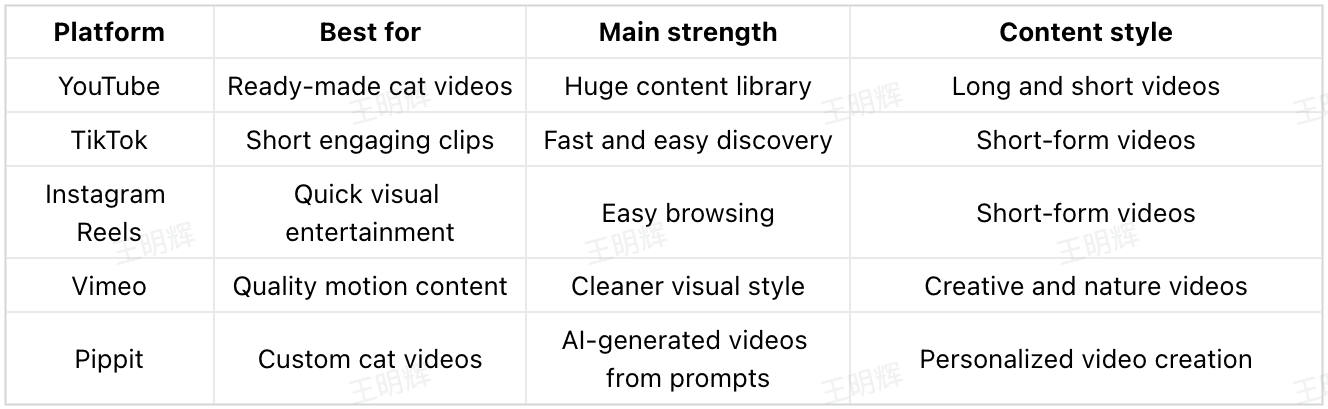 comparison of platforms for cat videos