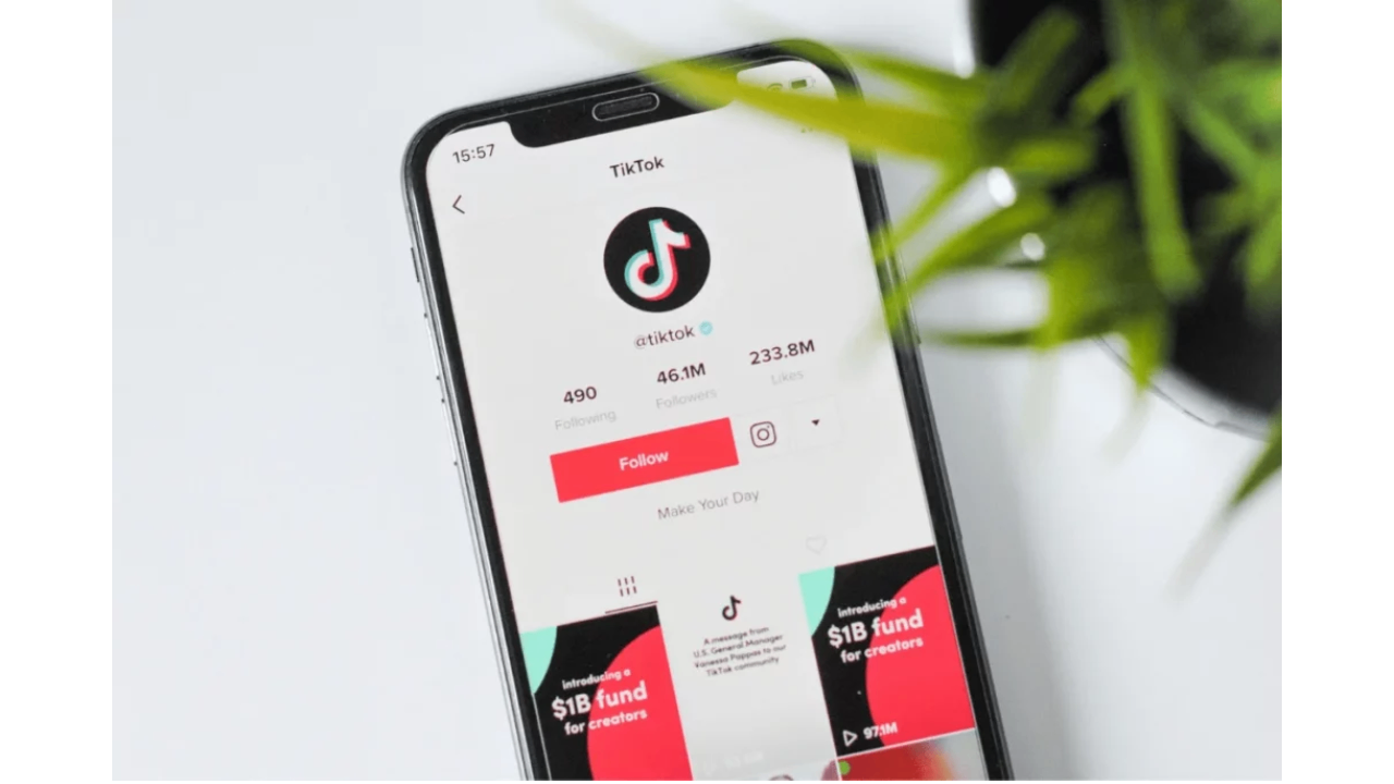 Set up a complete and clear TikTok profile